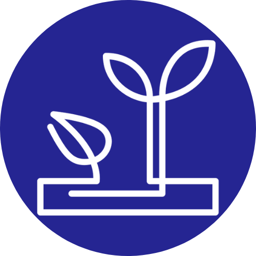 Cartoon plants